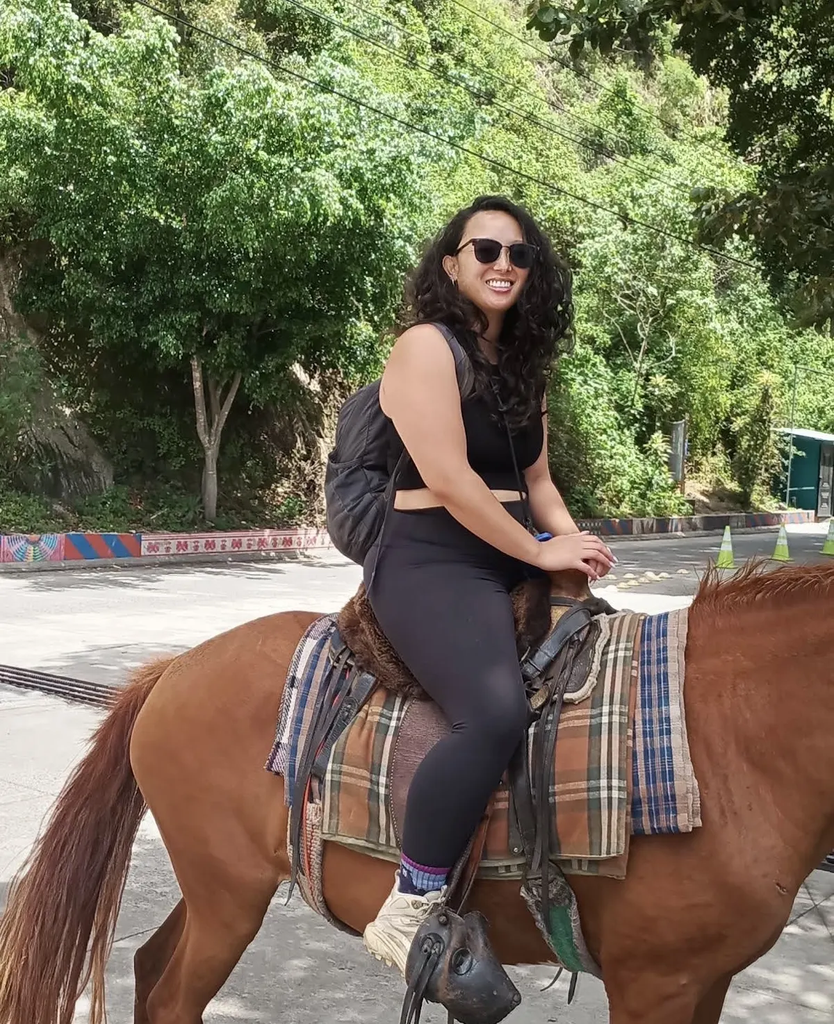 Horseback ride